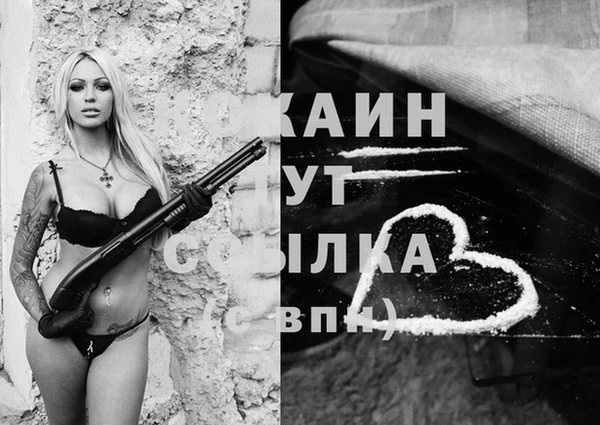 дмт Новодвинск