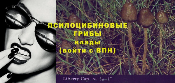 дмт Новодвинск