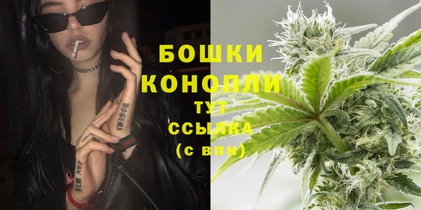 дмт Новодвинск