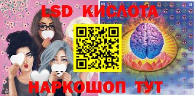 гидра Рязань