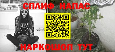гидра Рязань