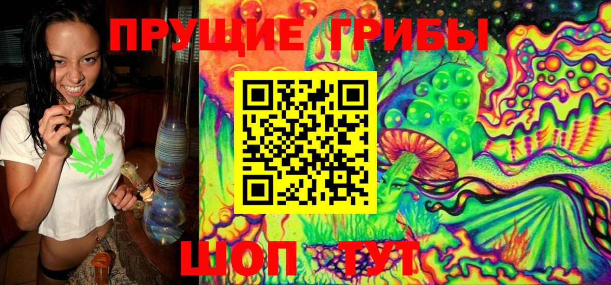 Туапсе  Псилоцибиновые грибы мицелий  Вход с VPN 